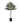 House Doctor - Juletræ med LED, Peuce, Natur, H150 cm