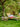 Bloomingville - Sole Daybed, Natur, Bambus L220 cm - Bolig og Haven