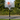 Nordic Games - Basketball stander Deluxe, justerbar 220-305 cm - Bolig og Haven