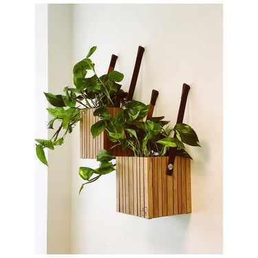 Squarely Copenhagen - GrowON plantekasse til ophæng 22x22 cm, 3 farver