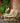 Bloomingville - Vallone Loungestol Polyrattan Natur 79 cm, 2 stk