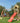 Jungle Gym - Legetårn Jungle Gym Totem m/2-klatre modul 200 og rød rutschebane