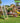 Jungle Gym - Legetårn Jungle Gym Cubby m/2-Climb Module 220 og gul rutschebane