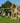 Jungle Gym - Legetårn Jungle Gym Club 2.1 m/2-Climb Module 220 og grøn rutschebane