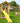 Jungle Gym - Legetårn Jungle Gym Sierra 2.1 m/Swing Module 220 og gul rutschebane