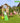 Jungle Gym - Legetårn Jungle Gym House 2.1 m/2-Climb Module 220 ekskl. rutschebane
