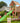Jungle Gym - Legetårn Jungle Gym Cabin 2.1 m/grøn rutsjebane og 120 kg sand