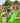 Jungle Gym - Legetårn Jungle Gym Chalet 2.1 m/2-Climb Module 220, grøn rutschebane och 120 kg sand