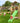 Jungle Gym - Legetårn Jungle Gym Chalet 2.1 m/2-Swing Module 220 og grøn rutschebane