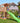 Jungle Gym - Legetårn Jungle Gym Cottage 2.1 m/grøn rutschebane - Bolig og Haven