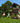 Jungle Gym - Legetårn Jungle Gym Club, grundmalet sort, m/2-Climb Module 220 ekskl. rutschebane