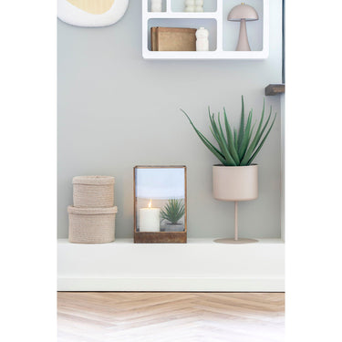 House Nordic - Aloe Vera H51 cm