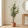 Eucalyptustræ SKU 111407 i terrakottakrukke i en lys nordisk entré