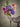 Bloomingville - Edge Buket, Lilla, Kunstige Blomster - Ø30 × H80 cm
