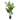 Areca Palme Kunstig palme 175 cm