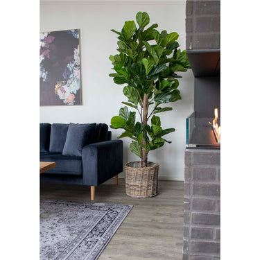 Fiddle Violinfigen - Kunstig plante 190 cm - Bolig og Haven